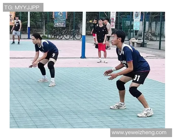 深圳排球队总决赛精彩表现分析与实力评估