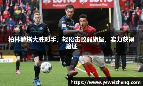 球王会体育