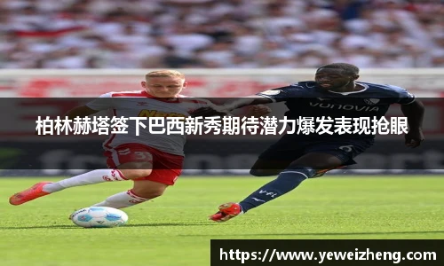 球王会官网