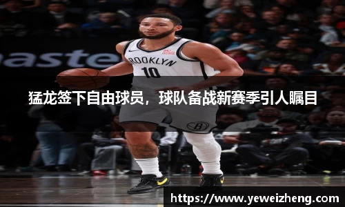 猛龙签下自由球员，球队备战新赛季引人瞩目