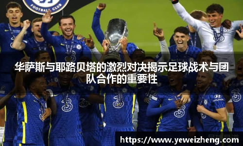 球王会体育