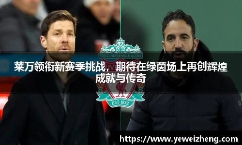 球王会体育