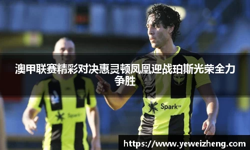 澳甲联赛精彩对决惠灵顿凤凰迎战珀斯光荣全力争胜